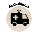 Programas escolares 2